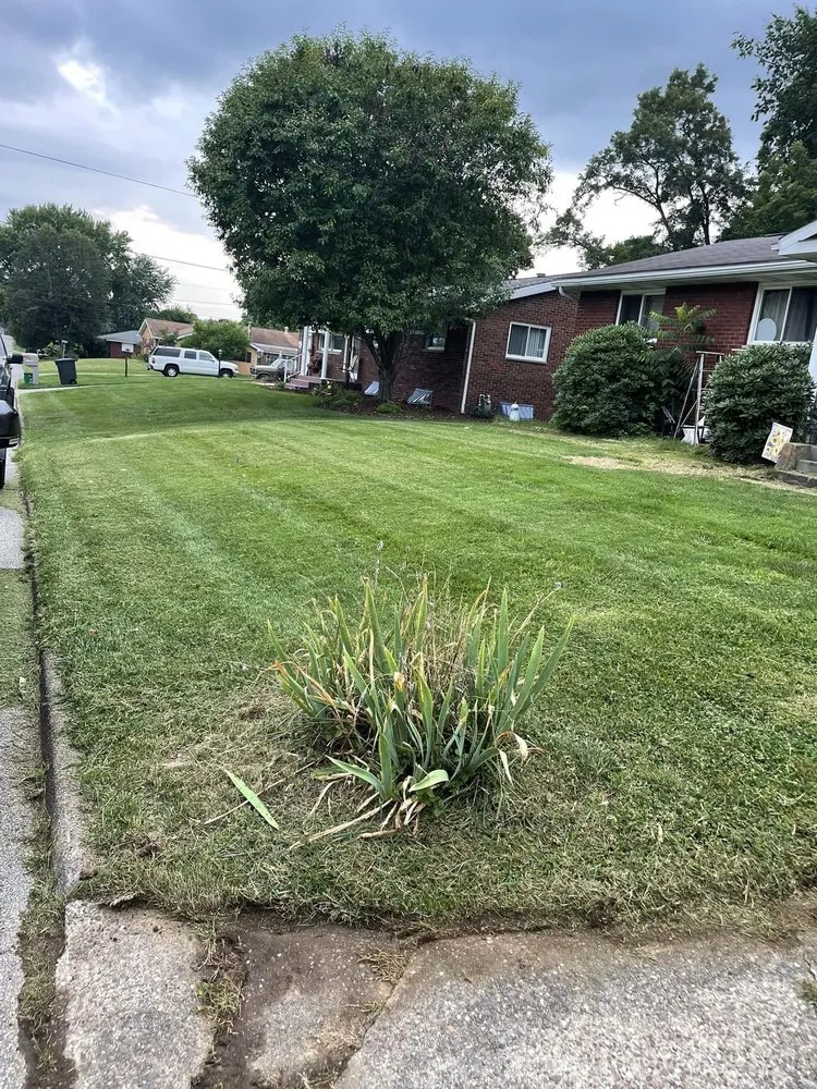 Local residential landscaping in Parkersburg, WV - Rm and Sons