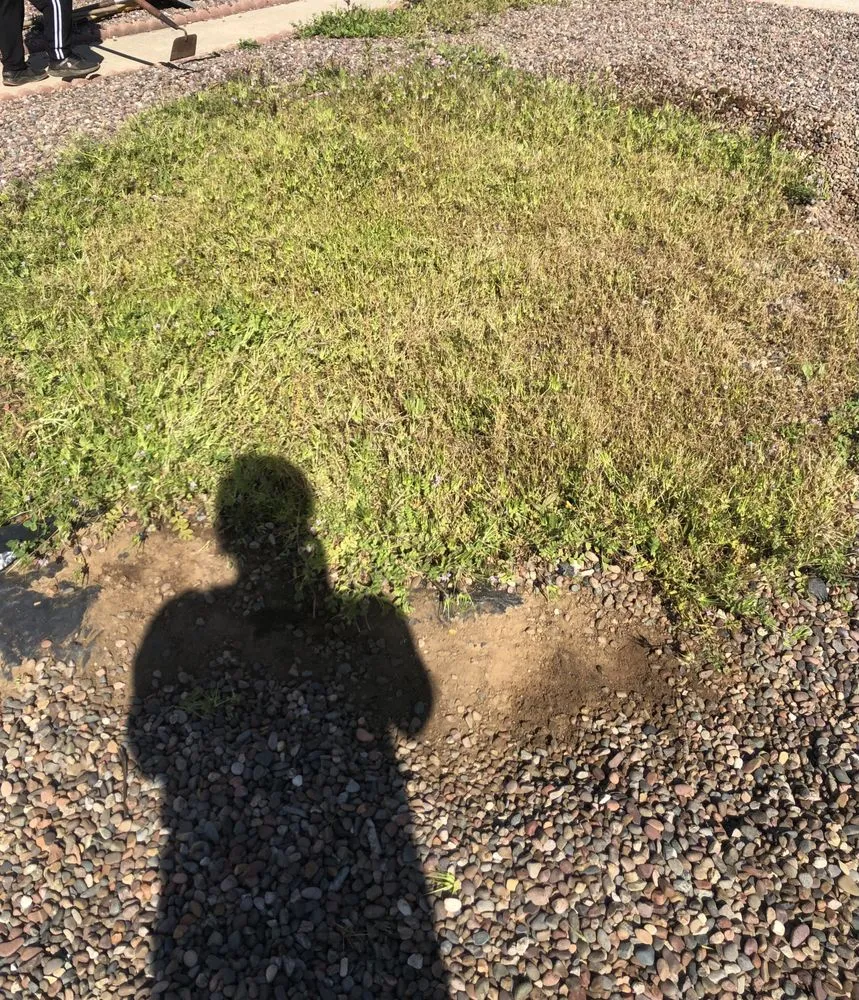 Affordable landscape installation experts serving Escondido, CA - R&M Construction and Landscaping