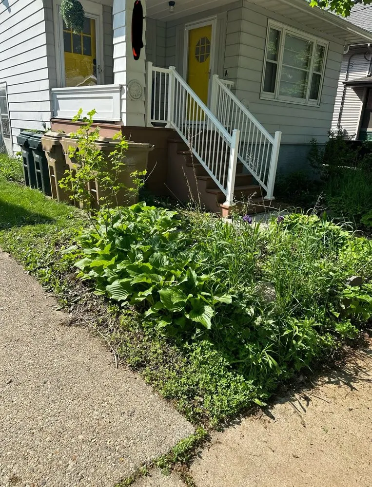 Trusted lawn care service experts serving Blanchardville, WI - R&M Home Care & Improvement