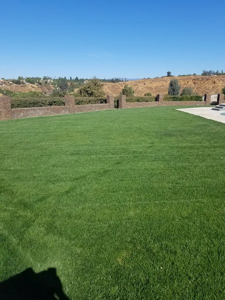 Reliable lawn care service in Calimesa, CA - RM Irrigation And Outdoor Lighting Services