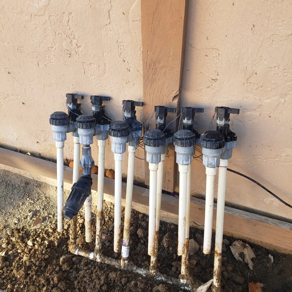 Affordable yard cleanup service in Calimesa, CA - RM Irrigation And Outdoor Lighting Services