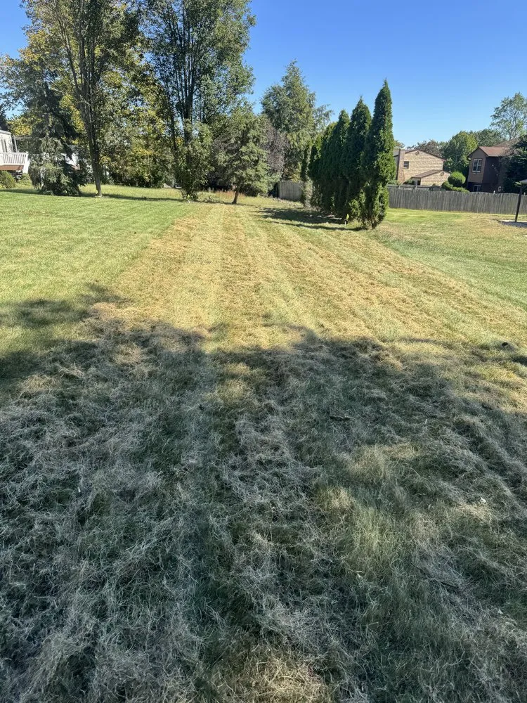 Professional yard maintenance in Lakewood, NJ - R&M Landscape & Design