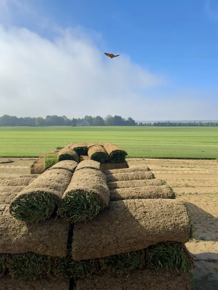 Top-rated lawn care service near you in Lakewood, NJ by R&M Landscape & Design