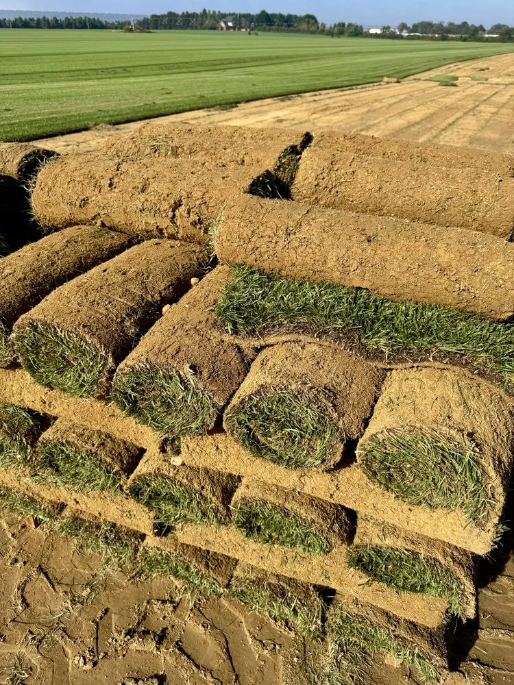 Trusted garden landscaping experts serving Lakewood, NJ - R&M Landscape & Design