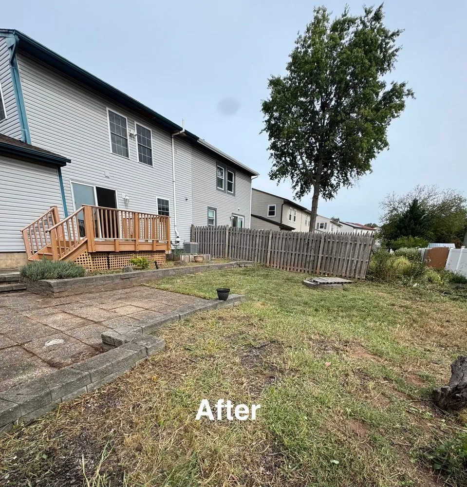 Reliable yard maintenance for year-round maintenance in Lakewood, NJ by R&M Landscape & Design