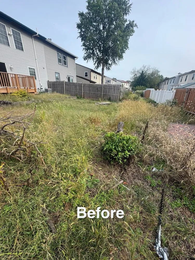 Professional garden landscaping for homes across Lakewood, NJ - R&M Landscape & Design