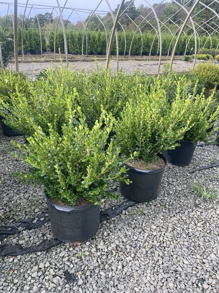 Top-rated garden landscaping in Lakewood, NJ - R&M Landscape & Design