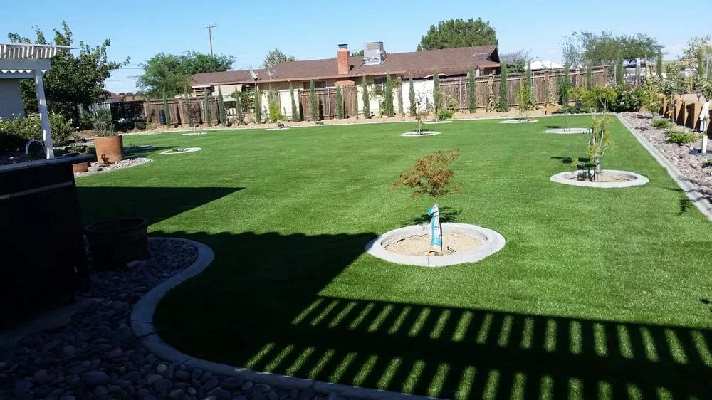 Top-rated yard cleanup service in Hesperia, CA by RM Landscape