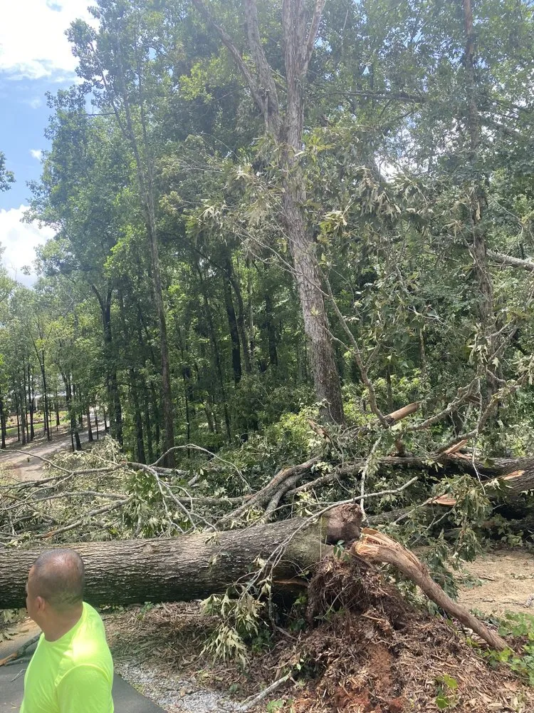 Professional landscape installation for homes in East Point, GA by R&M Landscaping Experts