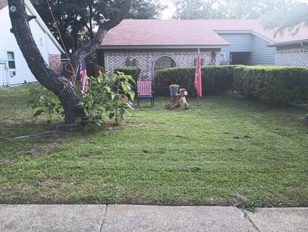 Custom lawn mowing service for homes in Grand Prairie, TX by R&M Landscaping