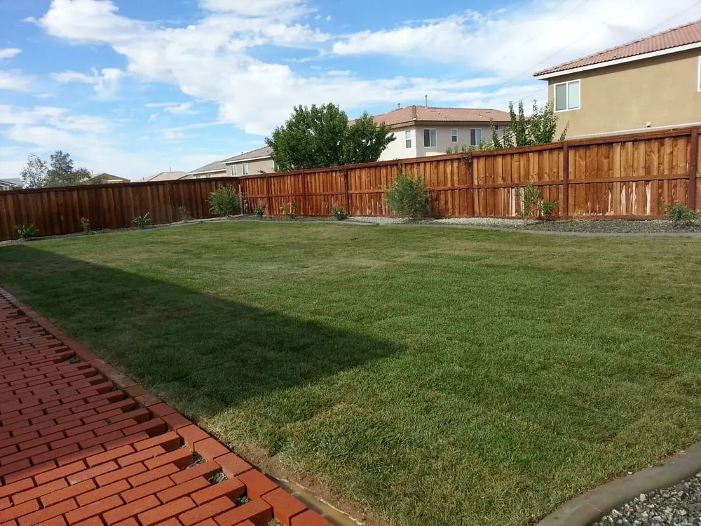 Expert lawn care service in Hesperia, CA by RM Landscaping