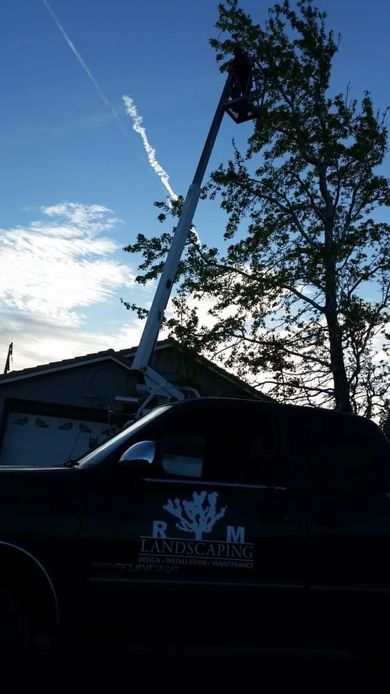 Affordable lawn mowing service experts serving Hesperia, CA - RM Landscaping