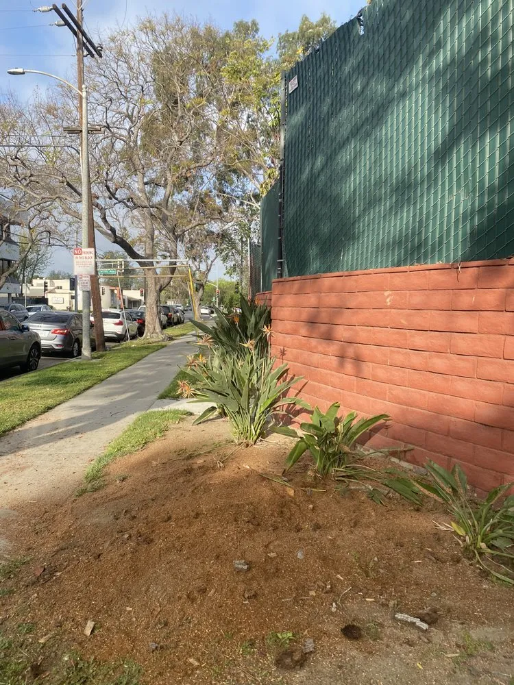 Trusted landscape installation for year-round maintenance across Long Beach, CA - Rm Landscaping