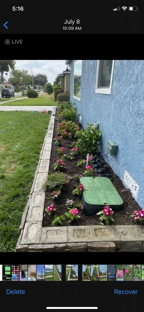 Local landscaping services for beautiful yards in Long Beach, CA by Rm Landscaping