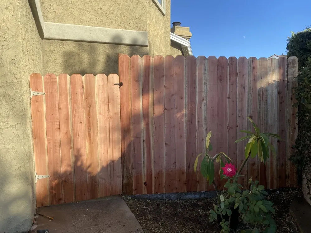 Expert yard cleanup service experts serving Long Beach, CA - Rm Landscaping