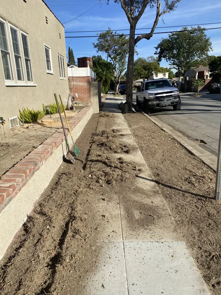 Custom yard maintenance with custom design in Long Beach, CA by Rm Landscaping