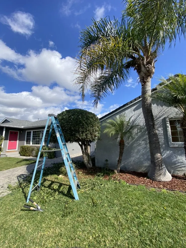 Reliable outdoor landscaping experts serving Long Beach, CA - Rm Landscaping