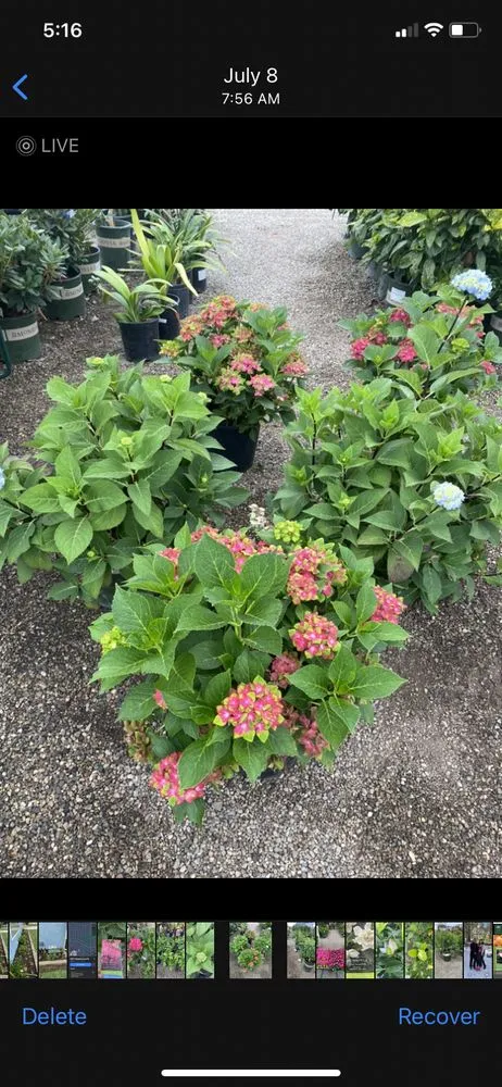 Reliable landscaping services experts serving Long Beach, CA - Rm Landscaping