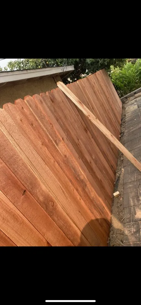 Professional landscaping services for beautiful yards across Long Beach, CA - Rm Landscaping