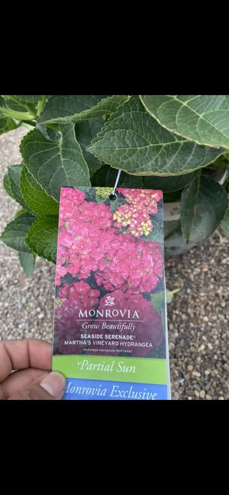 Local garden landscaping in Long Beach, CA - Rm Landscaping