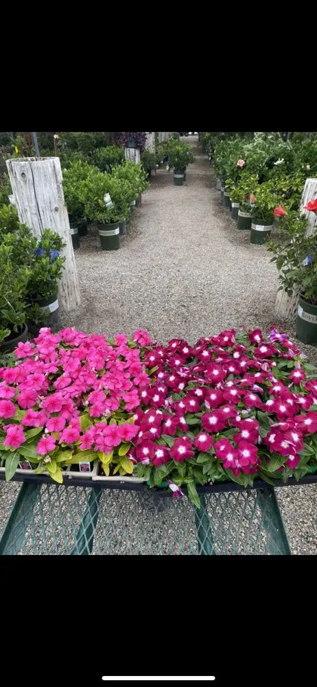 Reliable residential landscaping in Long Beach, CA by Rm Landscaping