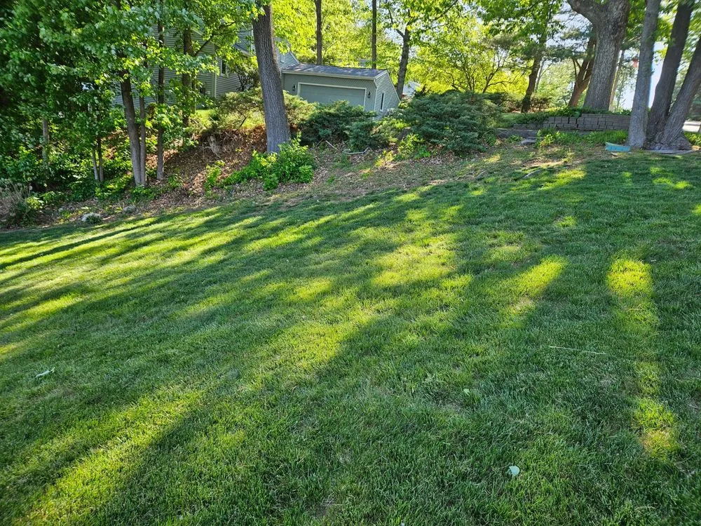 Expert landscape installation in Plainville, CT by R&M Landscaping