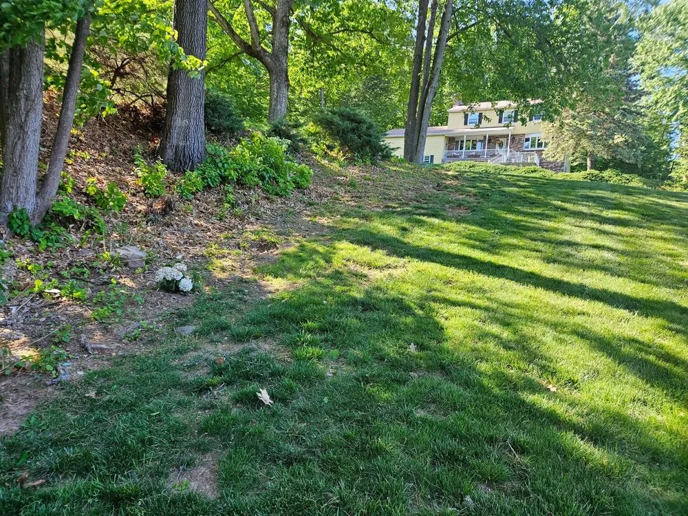 Custom yard maintenance for outdoor upgrades across Plainville, CT - R&M Landscaping