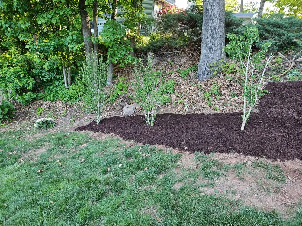 Expert landscape installation in Plainville, CT - R&M Landscaping