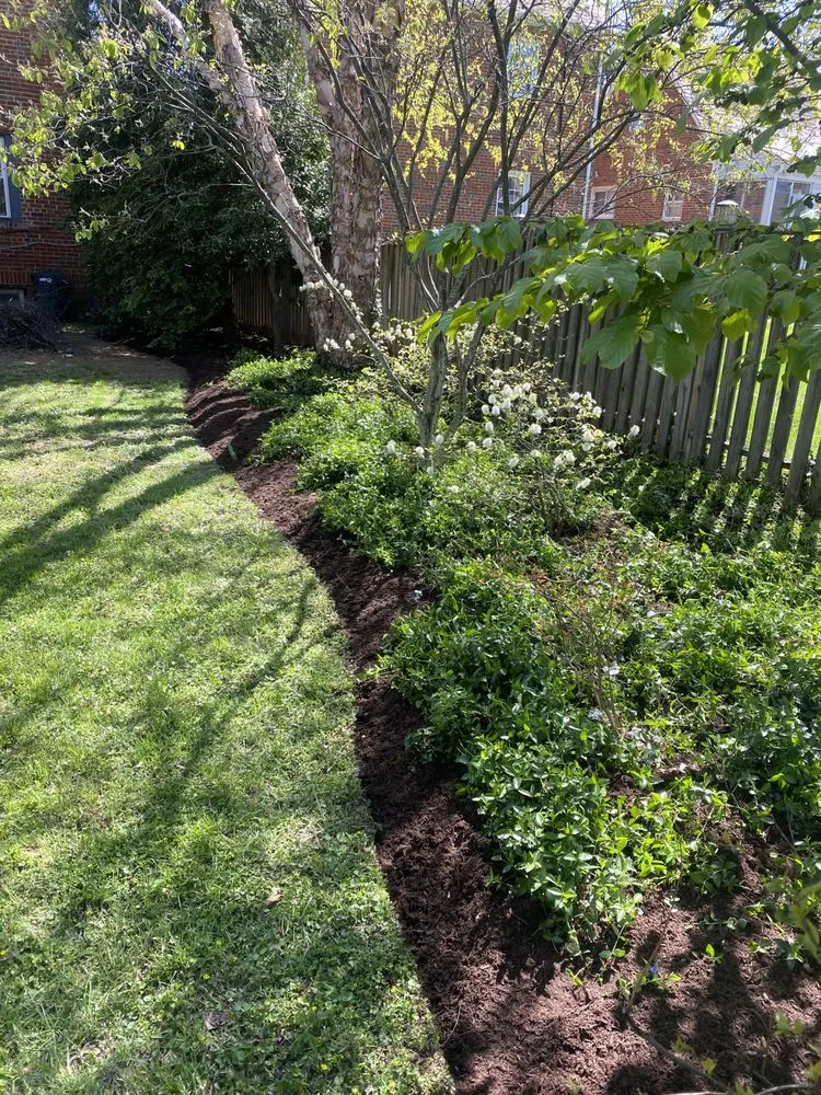 Custom landscaping services for beautiful yards across Adelphi, MD - Rm Landscaping Service