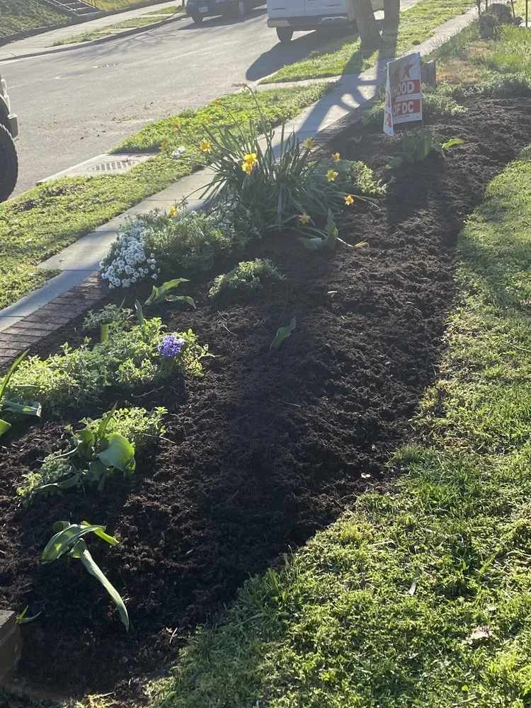 Affordable lawn care service for residential properties across Adelphi, MD - Rm Landscaping Service