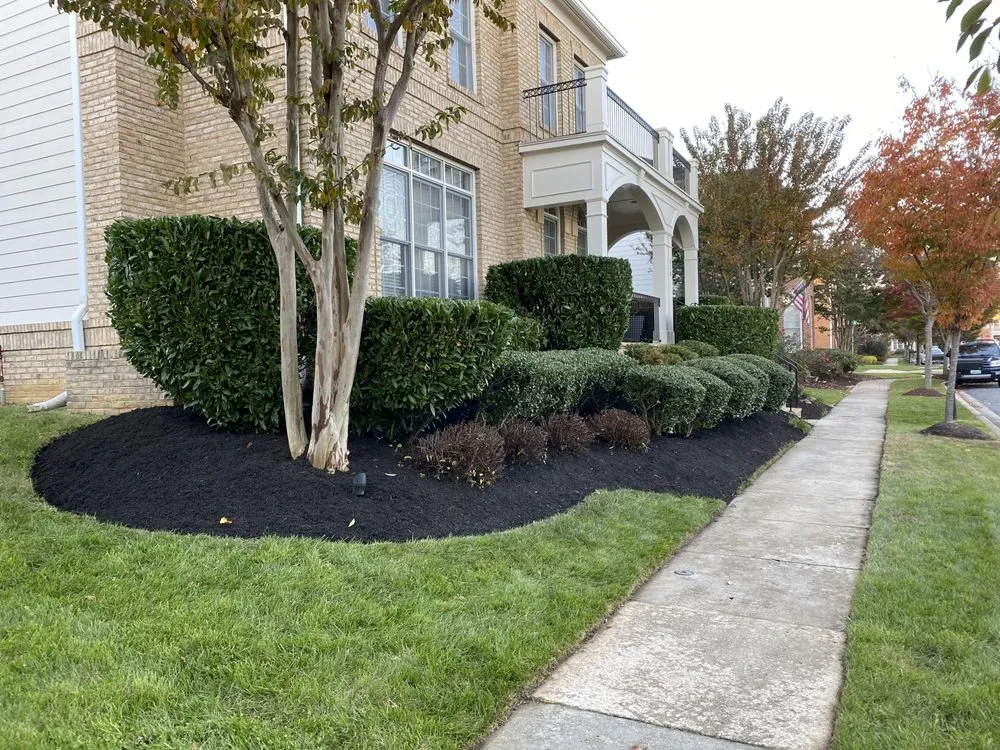 Custom residential landscaping in Adelphi, MD by Rm Landscaping Service