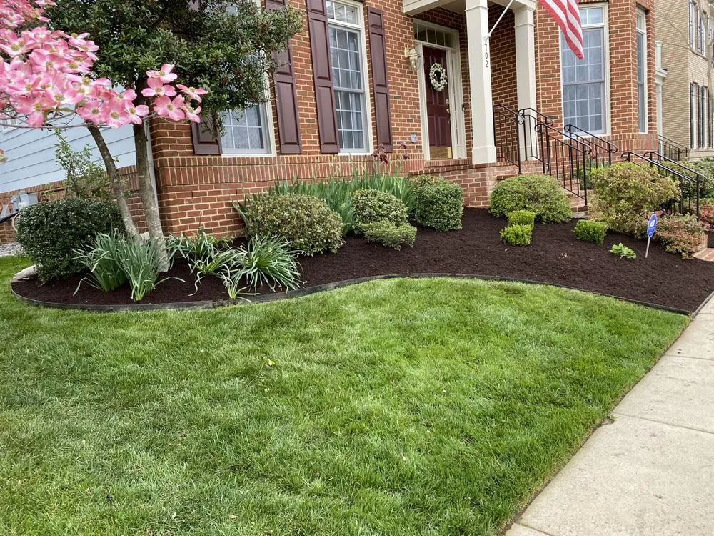 Trusted outdoor landscaping for year-round maintenance across Adelphi, MD - Rm Landscaping Service