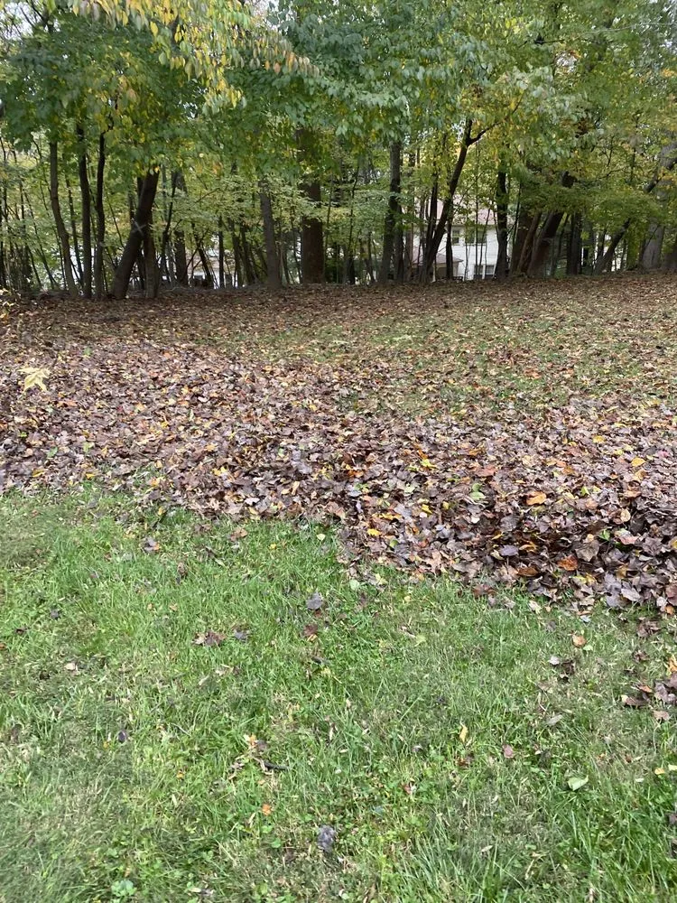 Affordable landscape installation in Adelphi, MD by Rm Landscaping Service