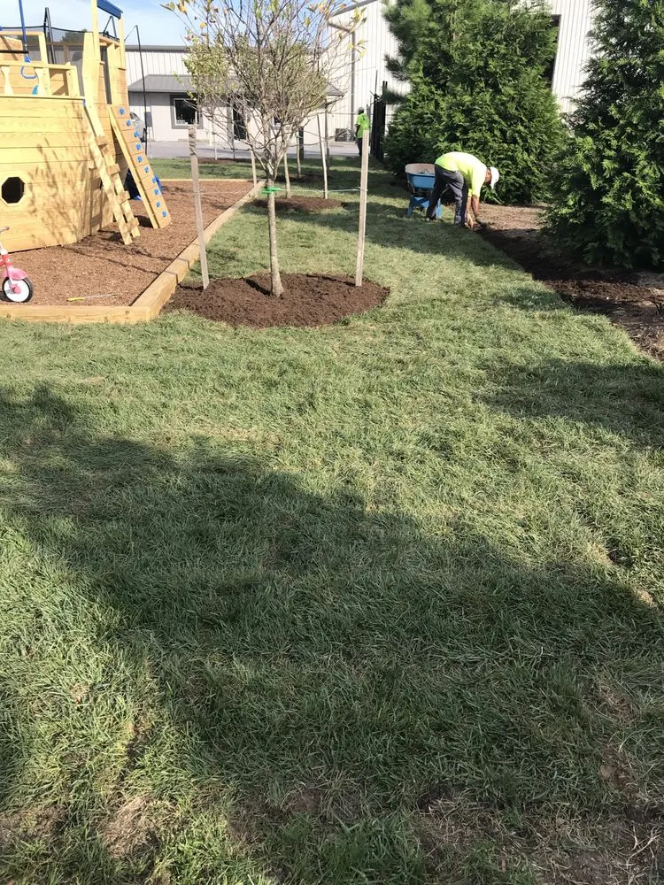 Reliable landscaping services experts serving Adelphi, MD - Rm Landscaping Service