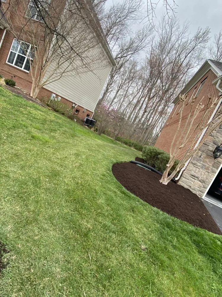 Top-rated lawn care service in Adelphi, MD - Rm Landscaping Service