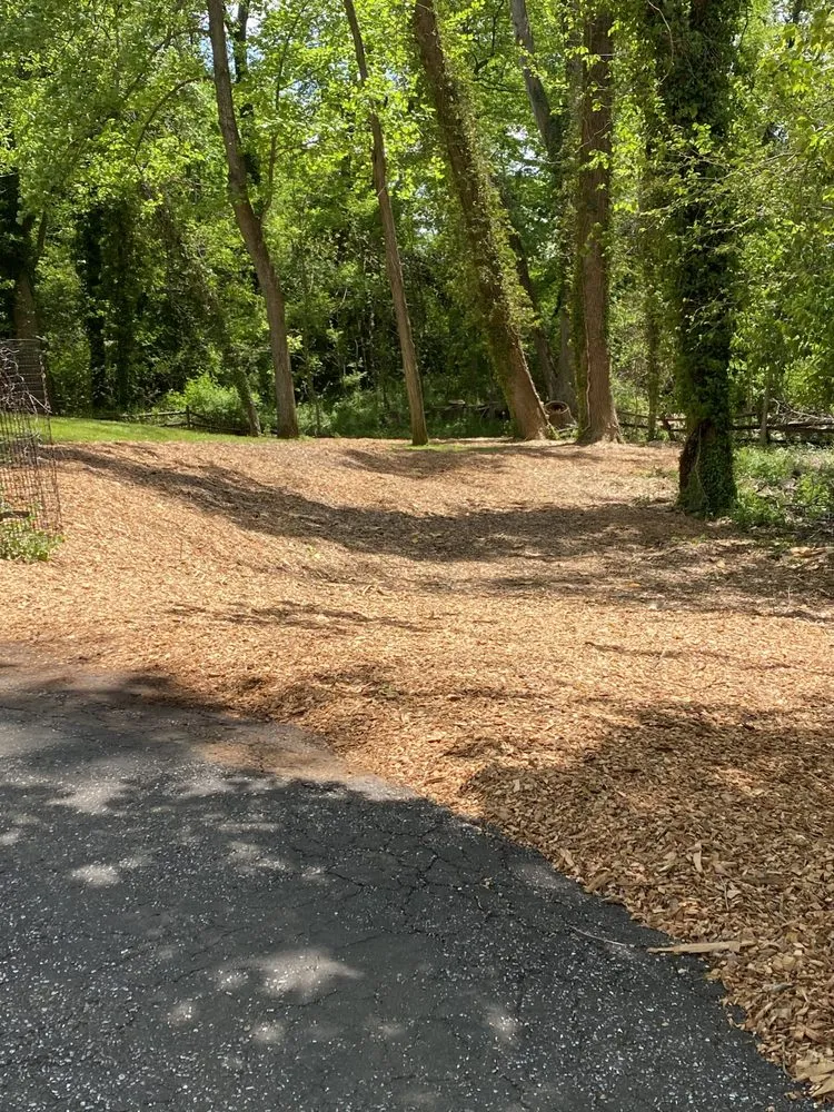 Trusted garden landscaping for homes across Adelphi, MD - Rm Landscaping Service