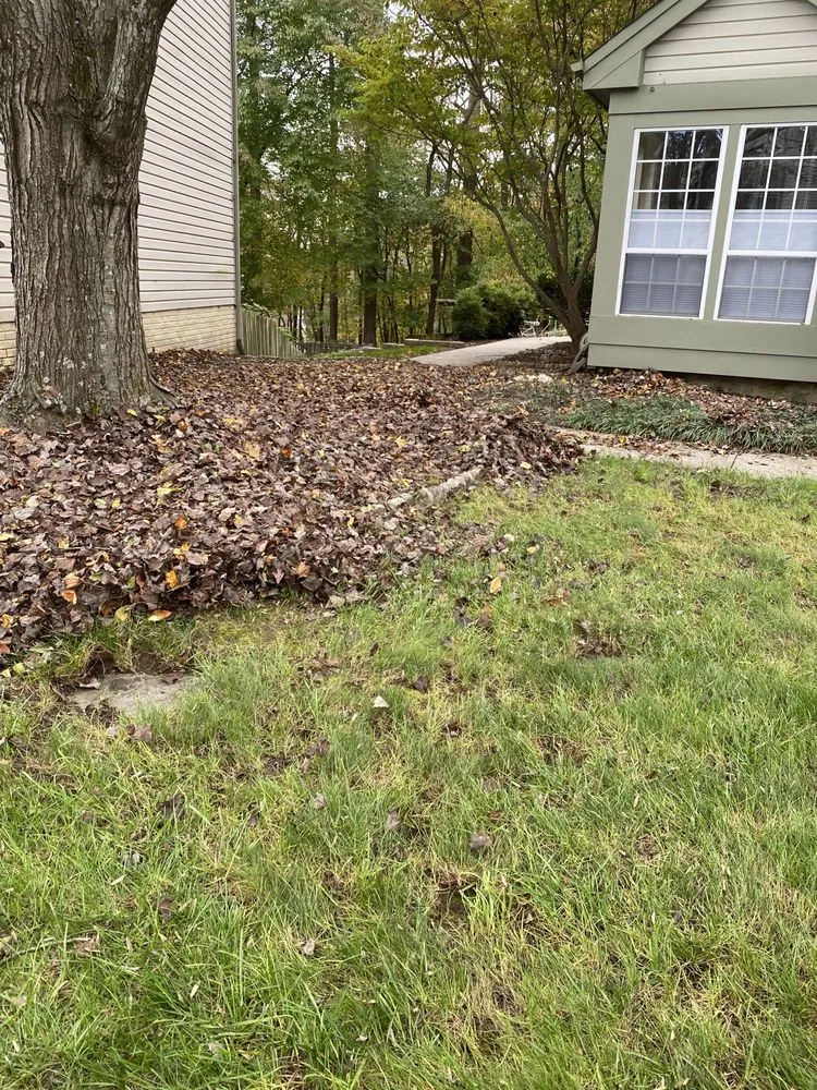 Expert lawn mowing service experts serving Adelphi, MD - Rm Landscaping Service