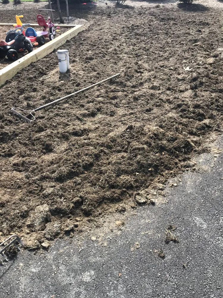 Reliable lawn care service with custom design across Adelphi, MD - Rm Landscaping Service