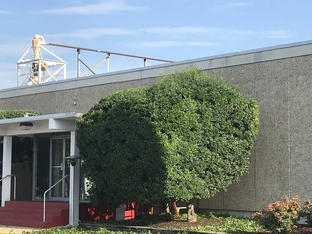 Professional landscape design in Adelphi, MD by Rm Landscaping Service