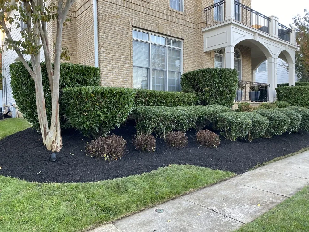 Trusted yard cleanup service in Adelphi, MD by Rm Landscaping Service