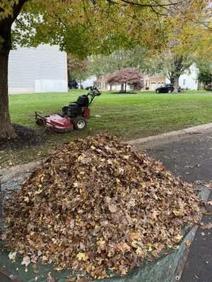 Rm Landscaping Service