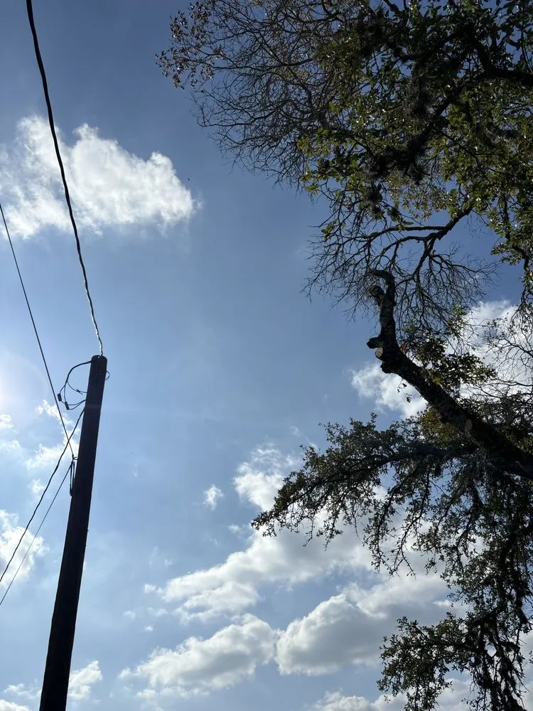 Trusted landscaping services for year-round maintenance across Canyon Lake, TX - R&M Landscaping Service