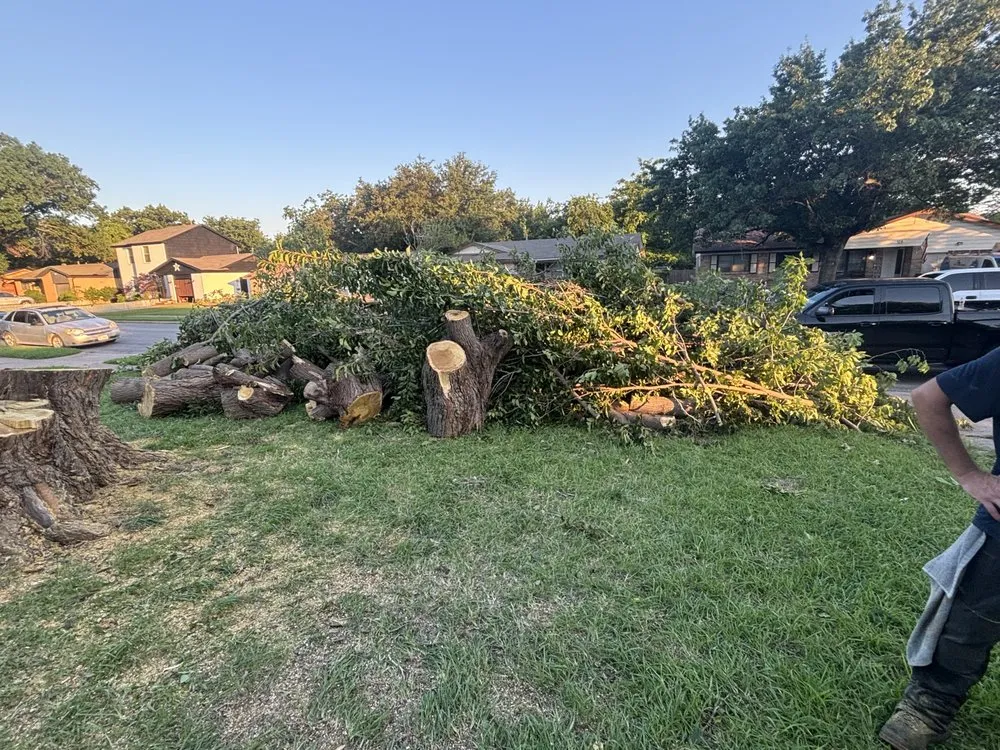 Local landscape design in Canyon Lake, TX by R&M Landscaping Service