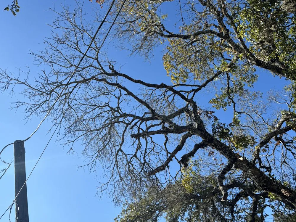 Reliable garden landscaping for homes across Canyon Lake, TX - R&M Landscaping Service