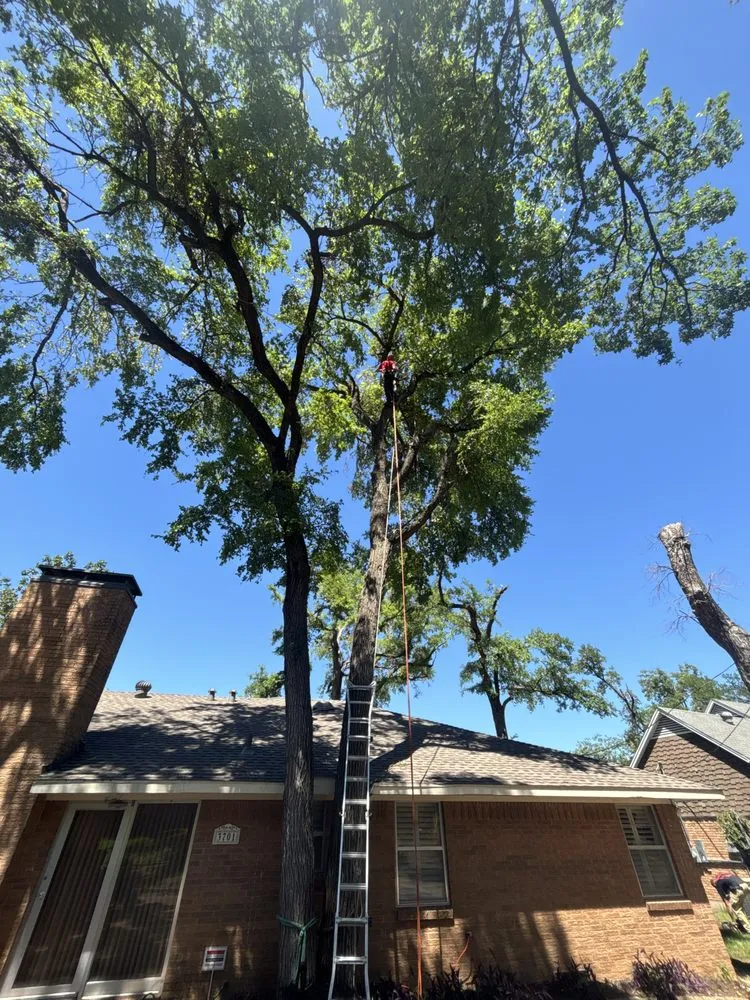 Reliable yard cleanup service in Canyon Lake, TX by R&M Landscaping Service