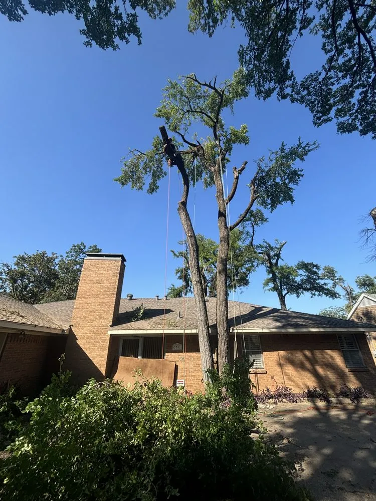 Top-rated lawn care service in Canyon Lake, TX - R&M Landscaping Service