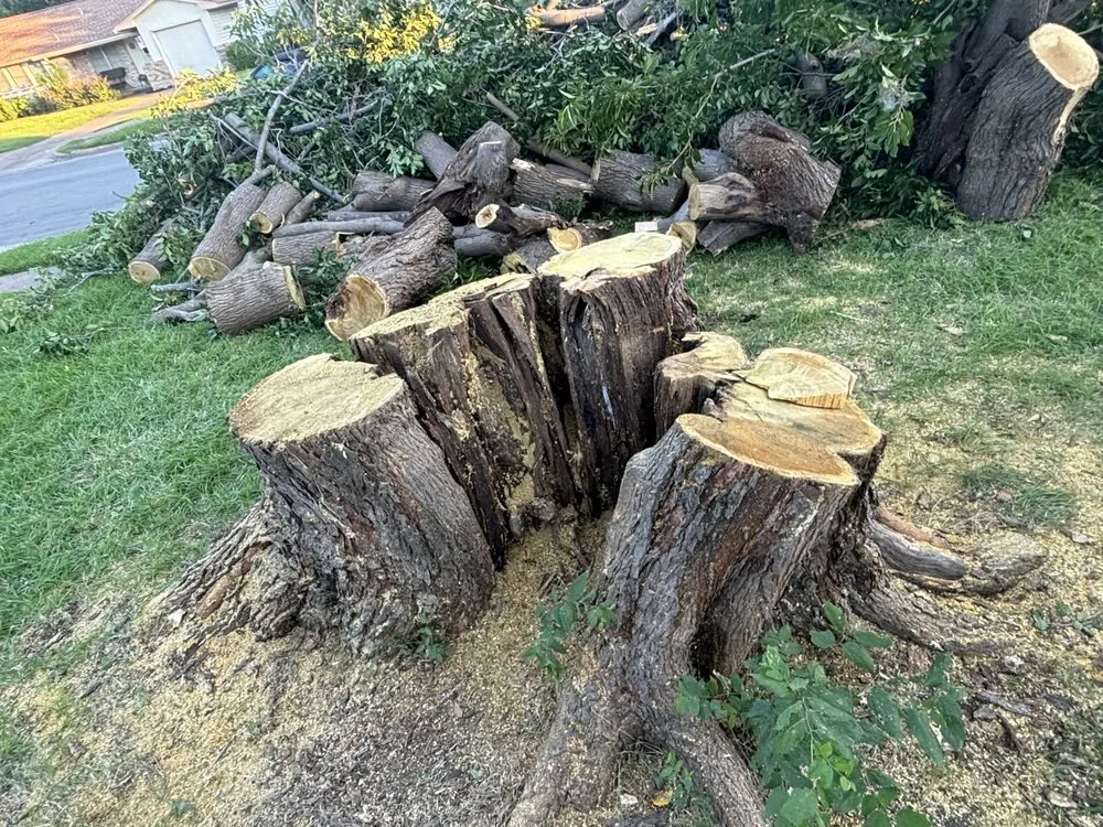 Expert landscape installation for outdoor upgrades across Canyon Lake, TX - R&M Landscaping Service