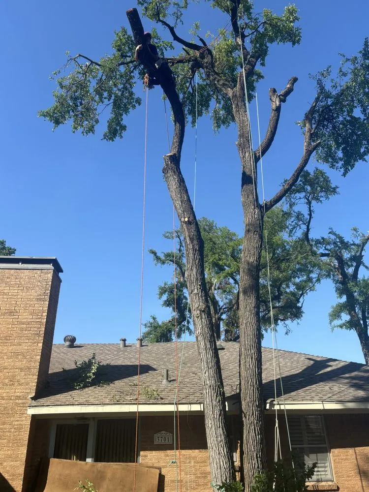 Expert yard maintenance for homes across Canyon Lake, TX - R&M Landscaping Service