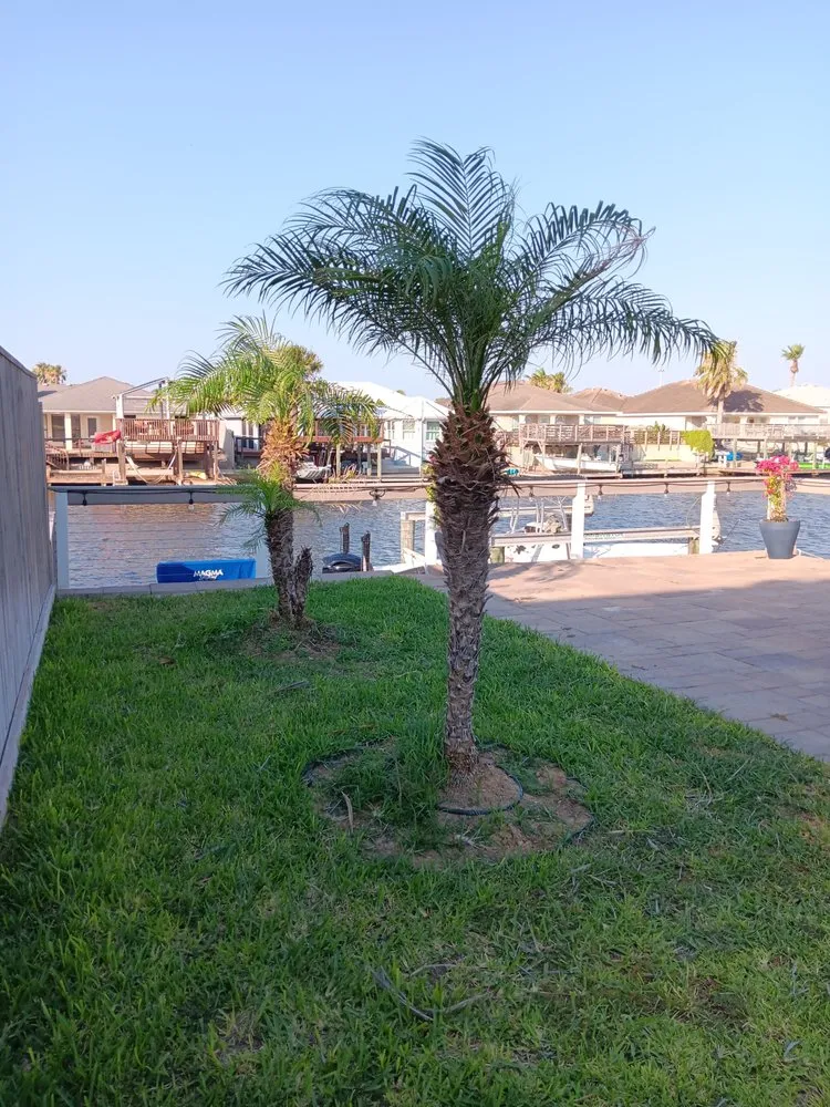 Expert lawn care service in Corpus Christi, TX by R&M Landscaping Services