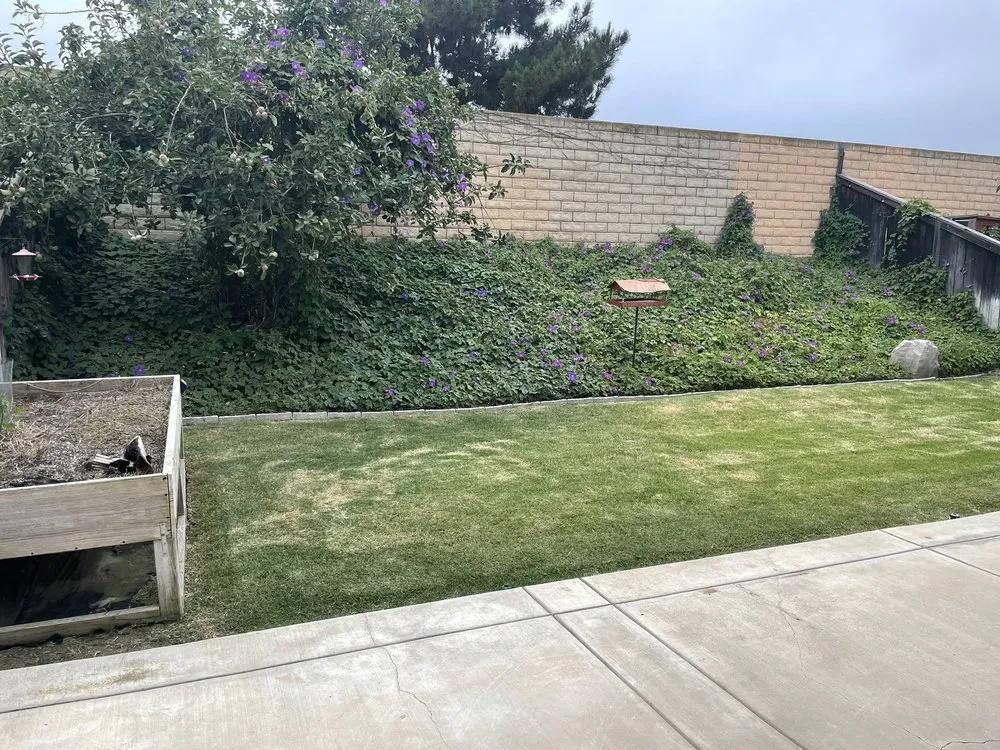 Reliable lawn mowing service experts serving Oxnard, CA - RM Landworks